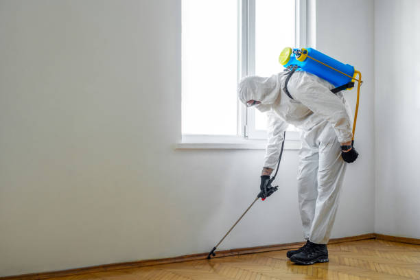 Best Residential Pest Control  in Wayne, IL